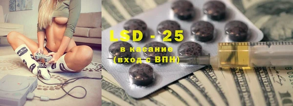 PSILOCYBIN Лагань