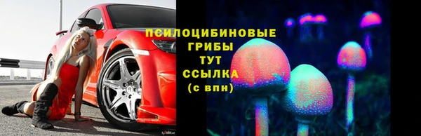 PSILOCYBIN Лагань