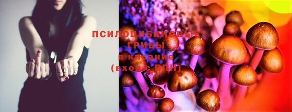 PSILOCYBIN Лагань