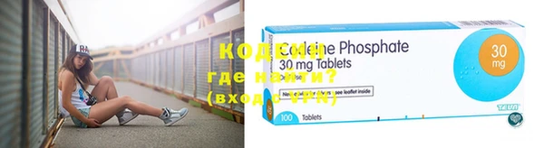 крисы Кулебаки