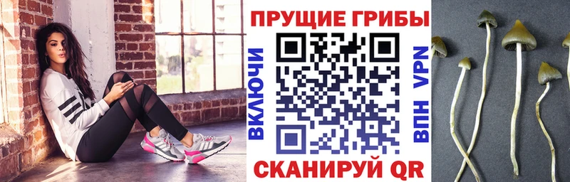 Галлюциногенные грибы Cubensis  Магас 